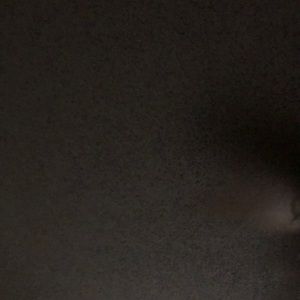 Meet your Posher, Gavin